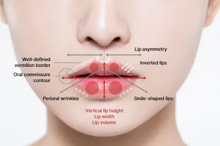 Detailed Lip Analysis