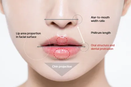 Natural Design Considering Overall Facial Harmony